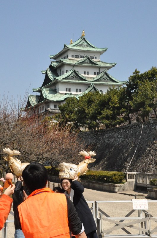耐震性が問題になっている名古屋城天守閣。年間約175万人が訪れる=名古屋市中区で
