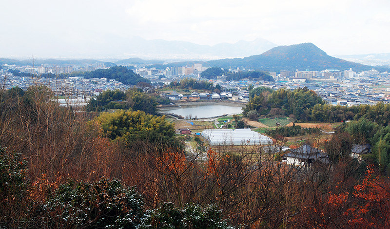 森和彦 古代史の現場を撮る ４９ 甘樫丘 権力誇示 蘇我邸どこに 奈良 毎日新聞