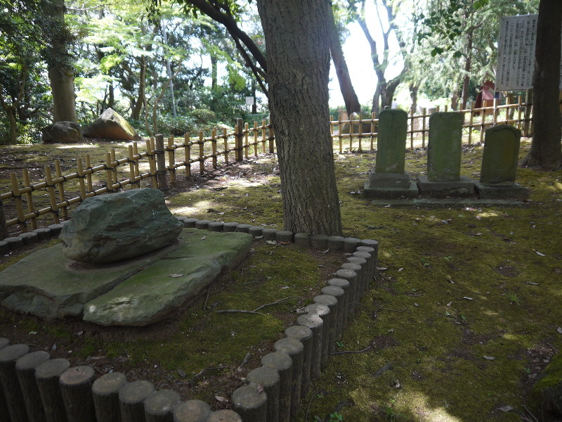 里見八犬伝 市川にも舞台 里見氏ゆかりの地 １７日ｐｒイベント ご当地アイドルとゆるキャラ起用 千葉 毎日新聞