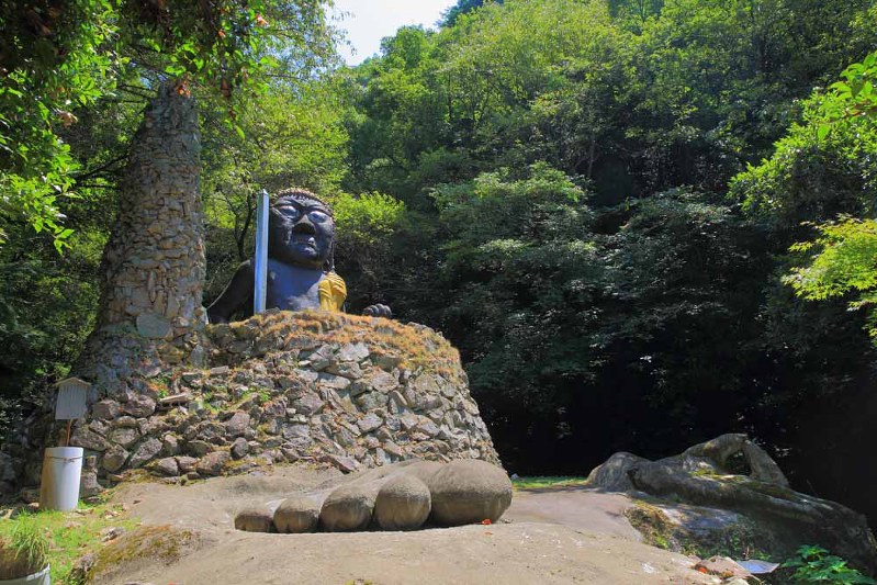 写真・半田カメラ