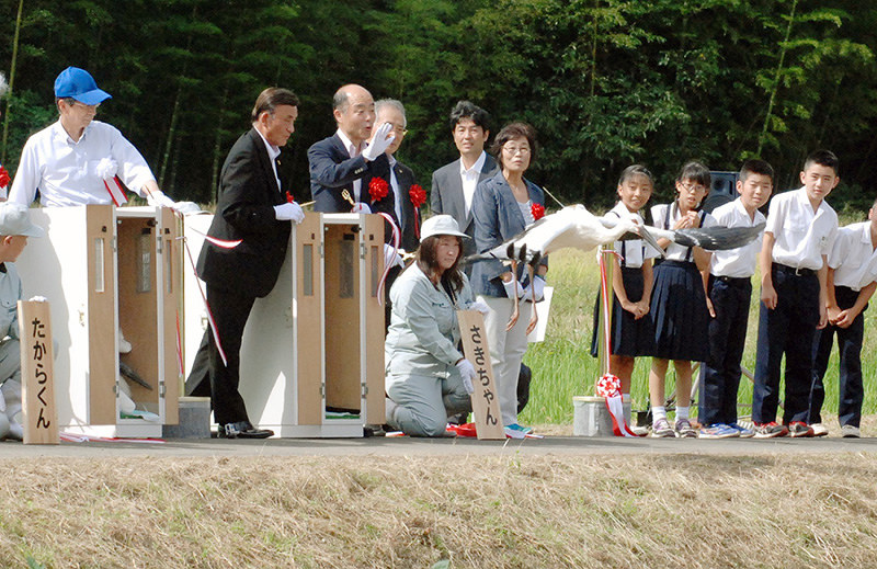 放鳥のテープカット後、先に勢いよく飛び立った「さきちゃん」=福井県越前市湯谷町で、高橋一隆撮影
