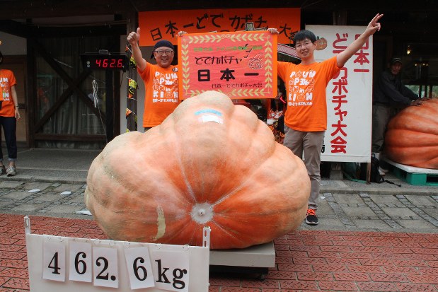 Co-workers win annual giant pumpkin contest with 463-kilogram gem