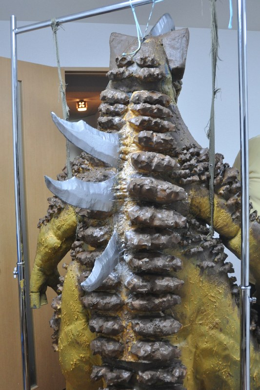 ガサキングα：ゴジラ超える？大怪獣 着ぐるみ完成 尼崎 [写真特集7/6