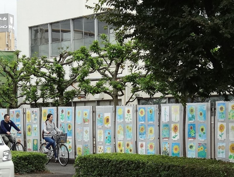 写生コンテスト ひまわりの絵ずら り展示 座間 神奈川 毎日新聞