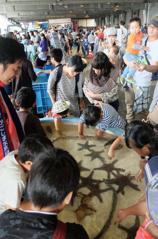 お魚まつり 大盛況 市場で多彩な催し 鹿児島市 鹿児島 毎日新聞 お魚まつり 大盛況 市場で多彩な催し 鹿児島市 鹿児島 毎日新聞