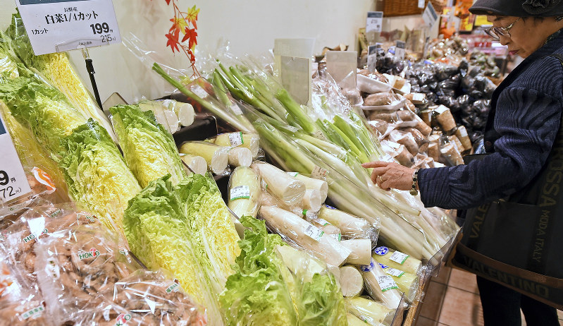 高値が続く白菜などの野菜=福岡市内のスーパーで2016年10月12日、野田武撮影