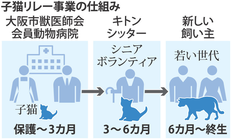 子猫リレー事業の仕組み