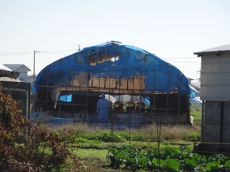 豚が大量に死んでいたことがわかった養豚場の豚舎=秋田県提供