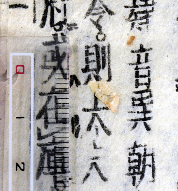 弘道館 古書にご飯粒 江戸時代 藩士師弟いたずら 毎日新聞