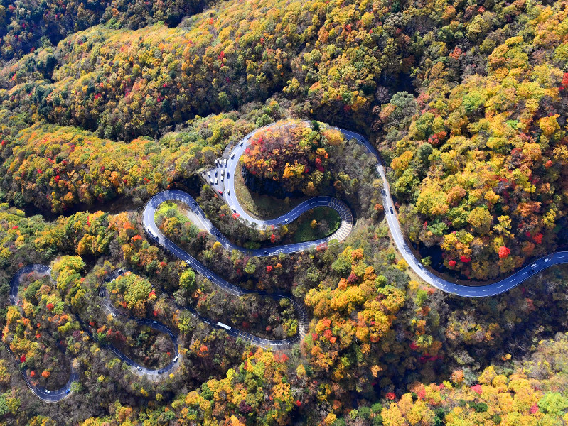 Photo Journal: Winding way - The Mainichi