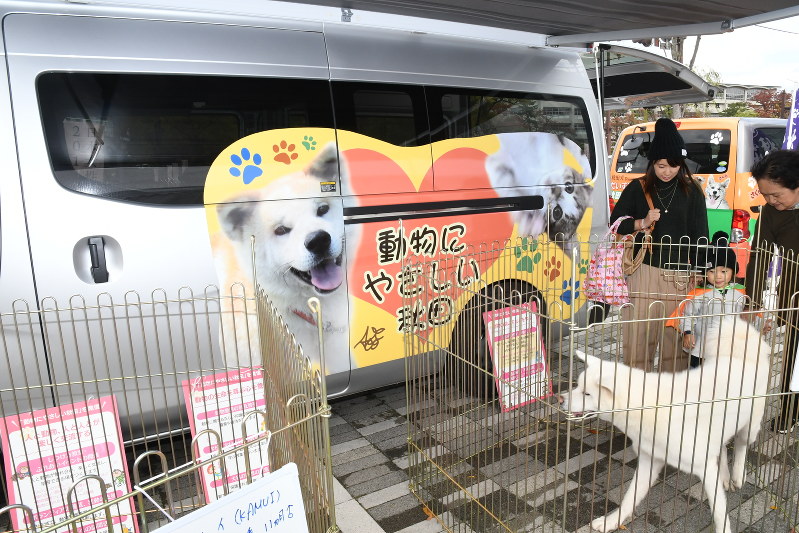 秋田県が運行を始めた動物愛護のPR車両=秋田市で2016年10月29日、川村咲平撮影