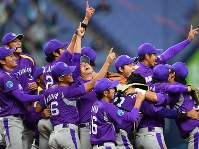 YAMAHA 優勝　第42回 社会人野球 日本選手権大会 Tシャツ 2016 社会人野球：ヤマハ悲願の初優勝 日本選手権 [写真特集22/18] | 毎日新聞