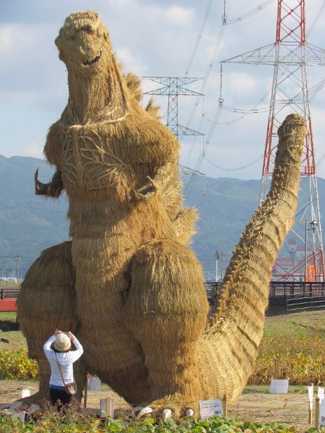 かがし祭：わらの「シン・ゴジラ」 LED点灯中止 | 毎日新聞