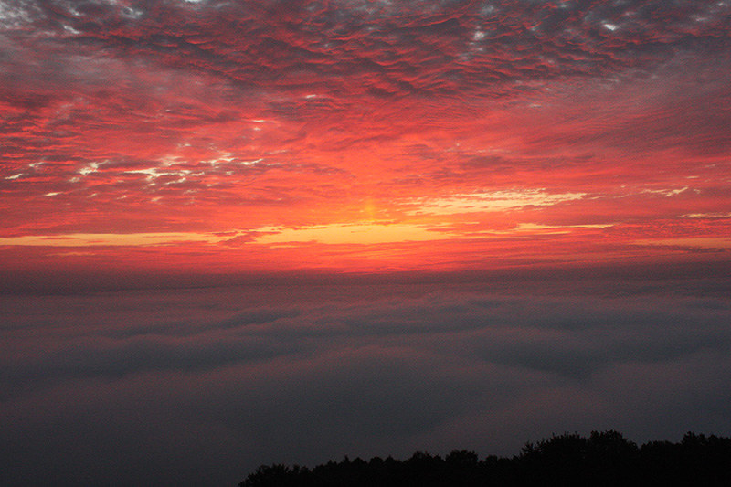 コレ推し 広島 霧の海 広島県三次市 高谷山 壮大な神秘に期待 中国 毎日新聞