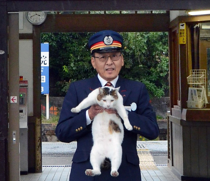 JR道ノ尾駅にすみ着いている猫のネルと江頭駅長=長崎市のJR道ノ尾駅で2016年11月8日、松浦さちこ撮影