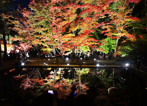 東海百景 水面鮮やか 逆さま紅葉 毎日新聞