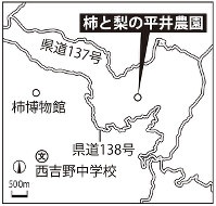 柿と梨の平井農園（奈良県五條市吉野町）