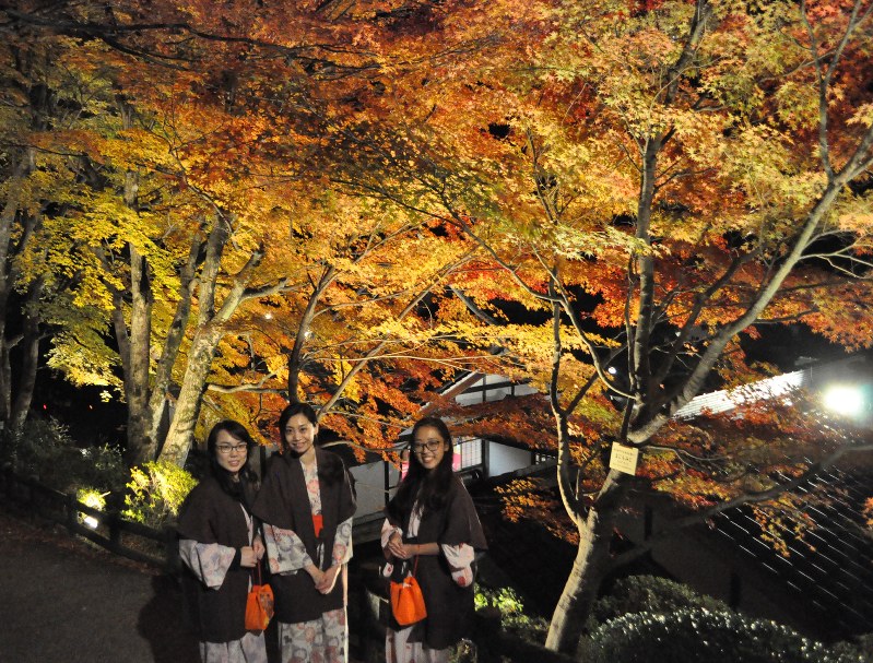 紅葉 鮮やか 下呂温泉 岐阜 毎日新聞