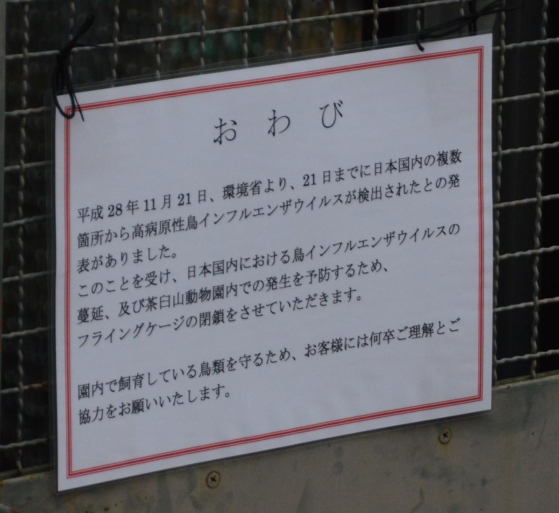 閉鎖されたフライングケージ前に掲げられた「おわび」の看板=長野市茶臼山動物園で2016年11月22日、川辺和将撮影