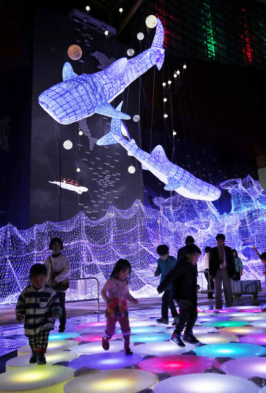 海遊館で始まったイルミネーション=大阪市港区で2016年11月22日午後5時17分、幾島健太郎撮影