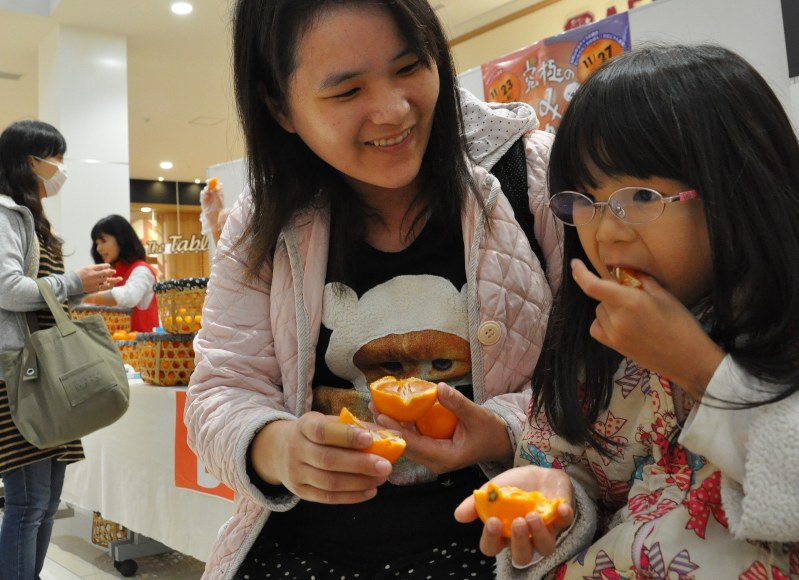雑記帳 和歌山と愛媛のミカンを食べ比べるイベント 毎日新聞
