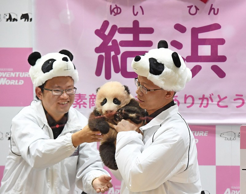 パンダ：赤ちゃん「結浜」と命名…和歌山・白浜 [写真特集1/16] | 毎日新聞