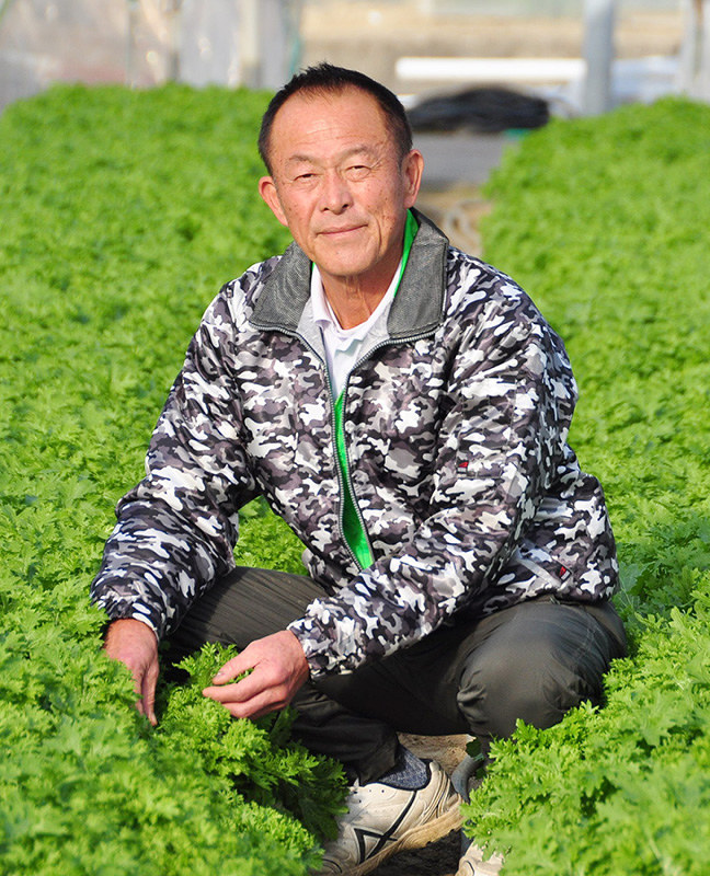 湖国の人たち 愛彩菜 の栽培を続ける 中島春樹さん 滋賀 毎日新聞