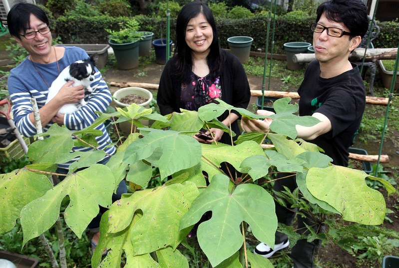 自宅庭に植えられている被ばくしたアオギリの子孫を見つめる中村里美さん(中央)と、兄柊斗さん(右)、伊藤茂利さん=東京都町田市で