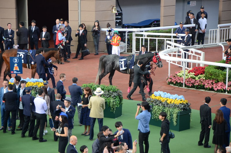 香港カップ：弾丸旅行で生観戦 高まる海外競馬人気を探る [写真特集17