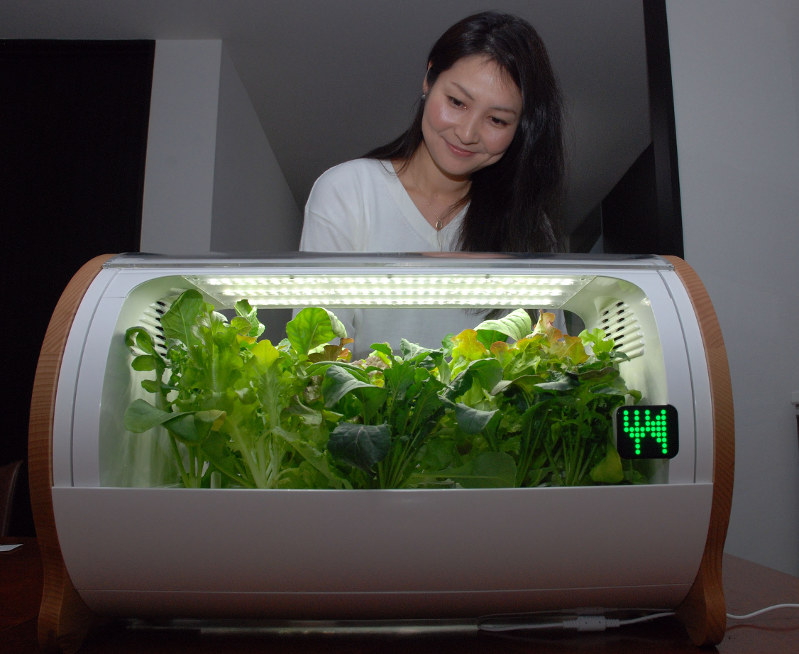 野菜家電の「foop」を見る武澤さん=港区で