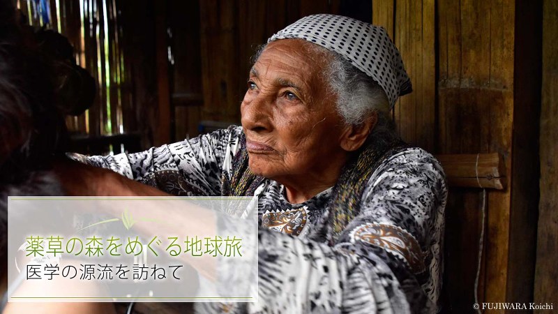 薬草に詳しい97歳のエンペラトリスさん