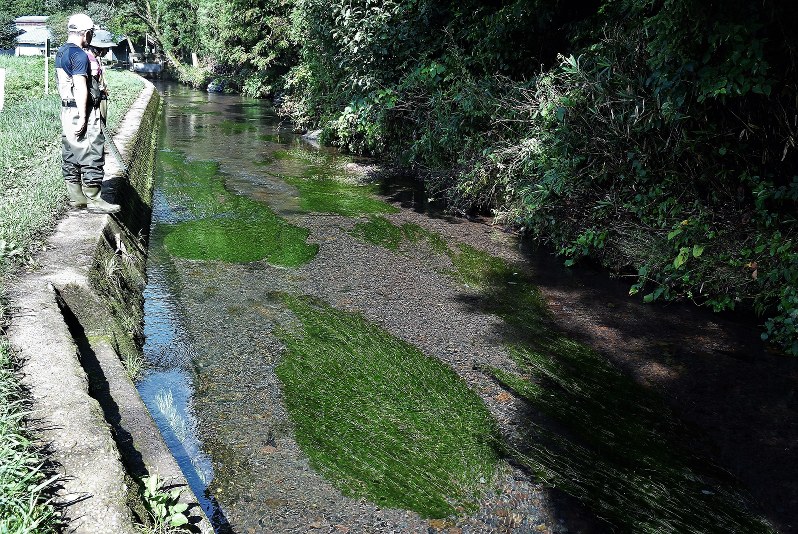 鳥海山湧水めぐり 国交省 水の里の旅 コンテストでｖ 遊佐の観光協 一層ｐｒ 山形 毎日新聞
