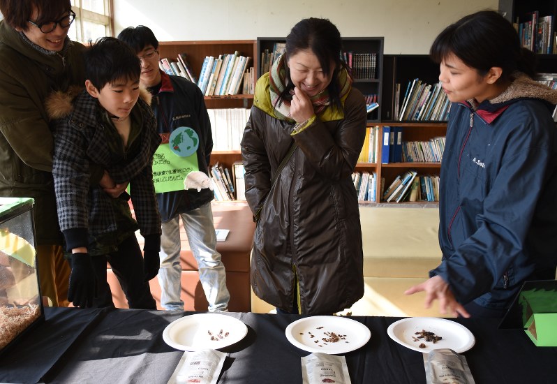 爬虫類が補食する昆虫の試食コーナーもあった「はちゅってる」展