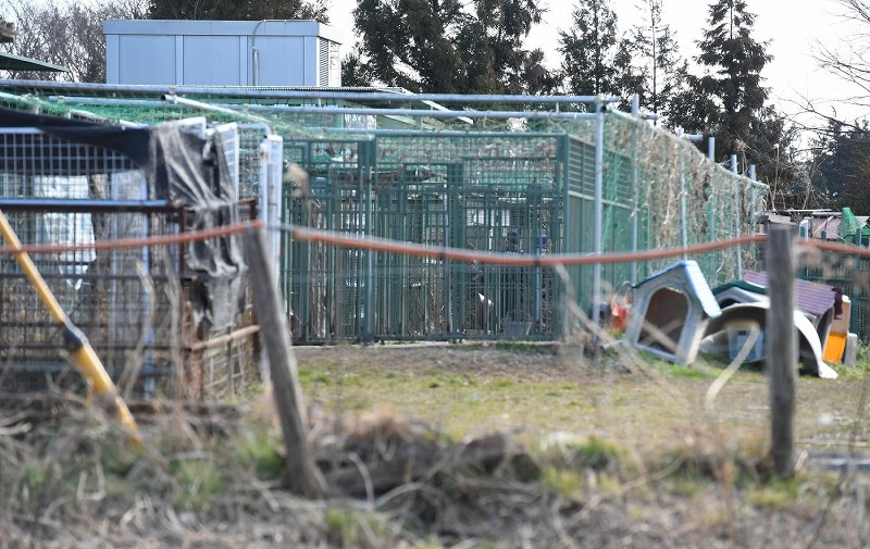飼育員重傷 県にライオン頭数の届け出怠る 写真特集2 12 毎日新聞