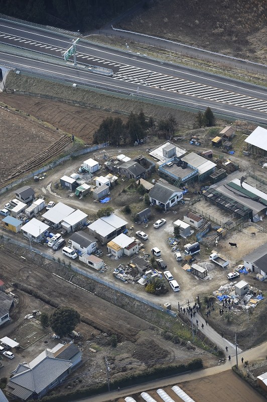 飼育員重傷 県にライオン頭数の届け出怠る 写真特集10 12 毎日新聞