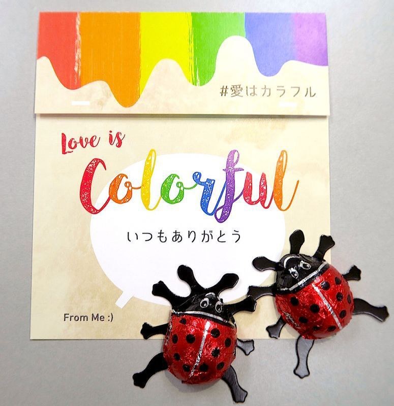 男女の枠にとらわれないバレンタインデーのチョコレート「しあわせを運ぶてんとう虫チョコ~#愛はカラフル パッケージ~」=NPO法人ACE提供