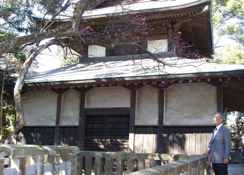 釈迦堂の南側で咲く紅梅「星下りの梅」を感慨深そうに見上げる荒井さん