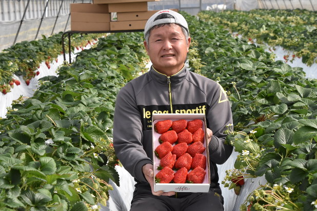 咲き誇れ １７センバツ神戸国際大付 第３部 支える ２ 竹内ファーム 竹内雅人さん 兵庫 毎日新聞