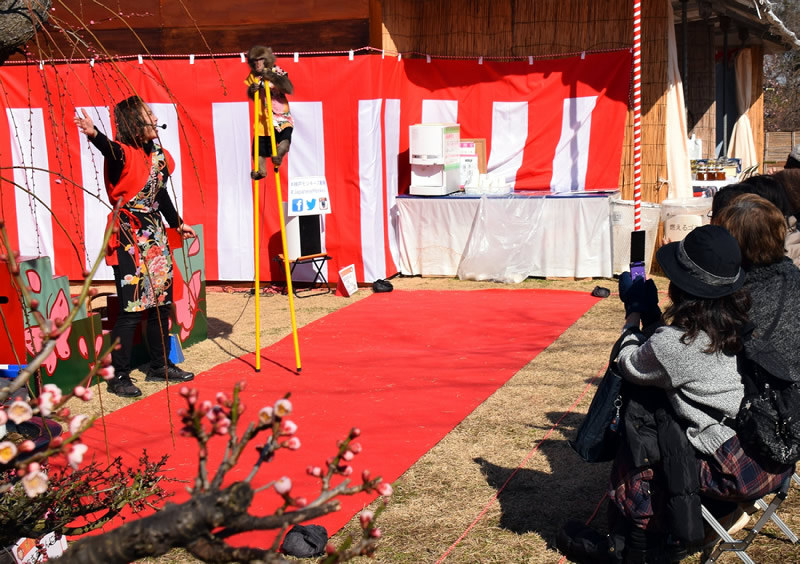 猿まわし 盆梅展会場で披露 大和郡山 奈良 毎日新聞