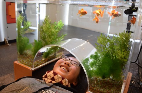 金魚を下から見られるトンネル型の水槽＝奈良県大和郡山市で２０１７年２月１８日午後３時５分、塩路佳子撮影