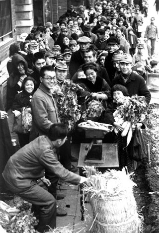 写真特集36/50] | 毎日新聞