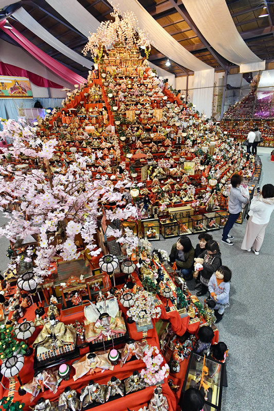 ビッグひな祭り：3万人のすまし顔…徳島・勝浦 | 毎日新聞