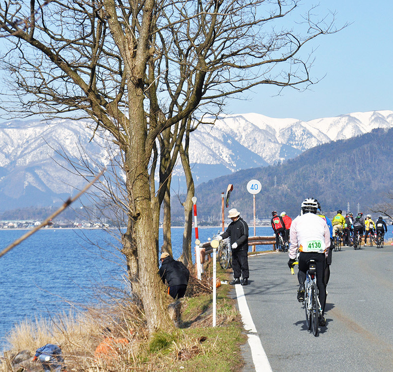 サイクリストが通過する海津大崎の桜並木を清掃する人たち=滋賀県高島市マキノ町で、塚原和俊撮影