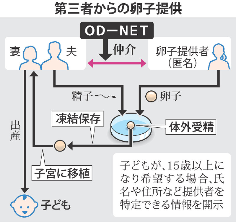 第三者からの卵子提供