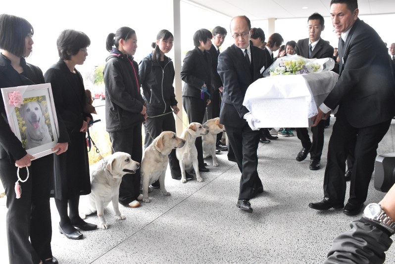 出棺を見送る丸亀警察犬訓練所の訓練士らと、きな子の子ら=山口桂子撮影