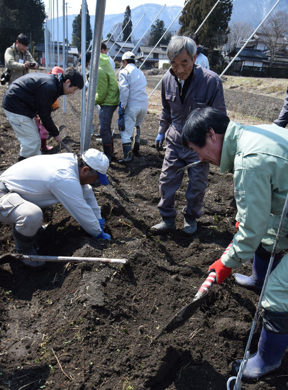 ホップの苗を農場に植える「安曇野産ホップを生産する会」のメンバーら=安曇野市堀金烏川で