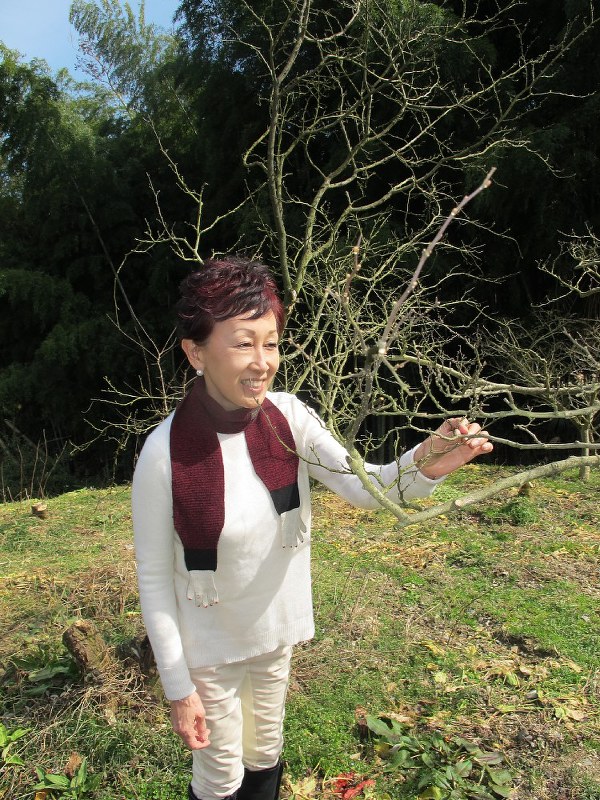 サンショウの木を前に「芽が少しふくらんでいますね」と解説する松田美智子さん=和歌山県紀美野町の「宇城農園」で