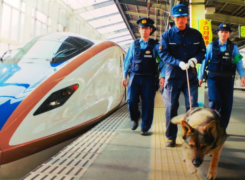 犬の鼻は人間の1億倍まで感知できるとされる=群馬県警提供