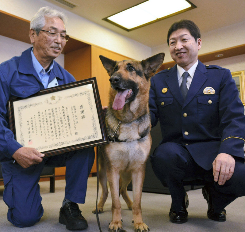 頼もしい警察犬アポロニア。南陽署の沼沢正樹署長(右)に感謝状を贈られ、指導手の白井実さんもうれしそう=山形県南陽市の同署で