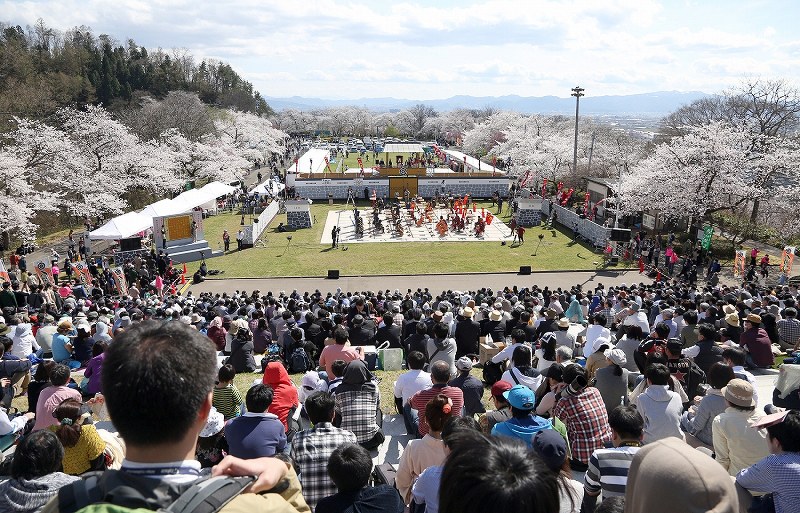 人間将棋：武者姿の駒、満開の桜の下で 山形・天童 [写真特集3/9